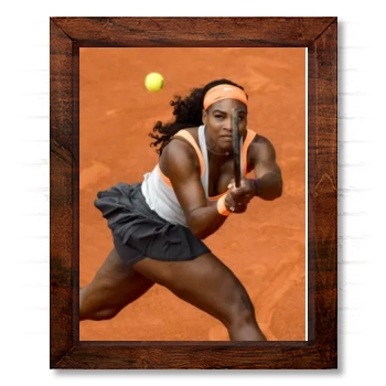 Serena Williams 14x17