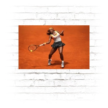 Serena Williams Poster