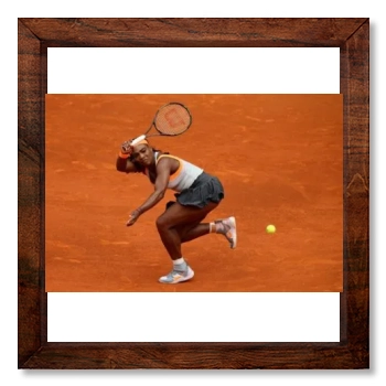 Serena Williams 12x12