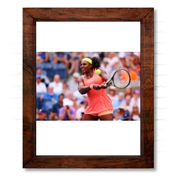 Serena Williams 14x17