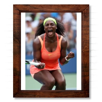 Serena Williams 14x17