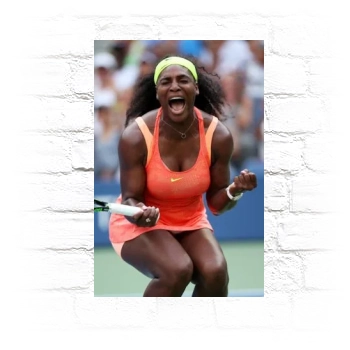 Serena Williams Metal Wall Art