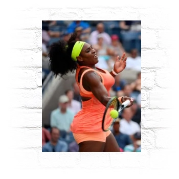 Serena Williams Metal Wall Art