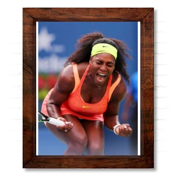 Serena Williams 14x17