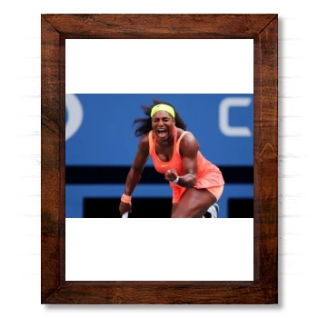 Serena Williams 14x17