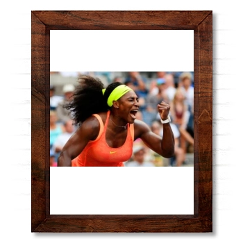 Serena Williams 14x17