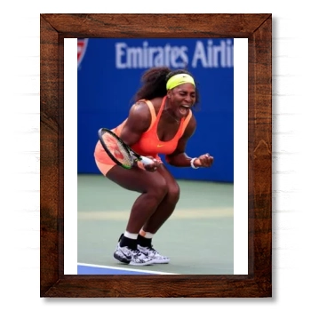 Serena Williams 14x17