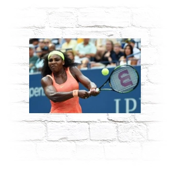 Serena Williams Metal Wall Art