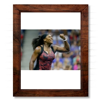 Serena Williams 14x17