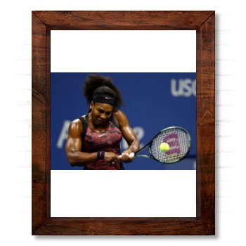 Serena Williams 14x17