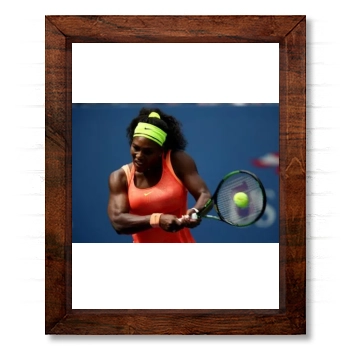 Serena Williams 14x17