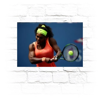 Serena Williams Metal Wall Art