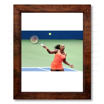 Serena Williams 14x17