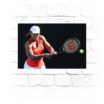 Serena Williams Metal Wall Art