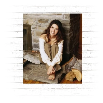 Shania Twain Poster