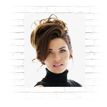 Shania Twain Poster