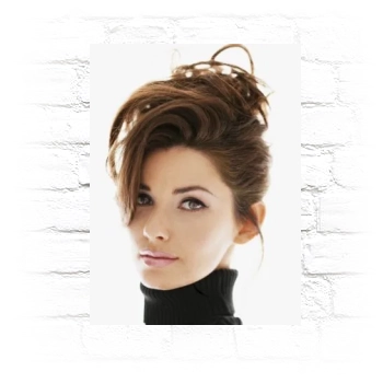 Shania Twain Metal Wall Art