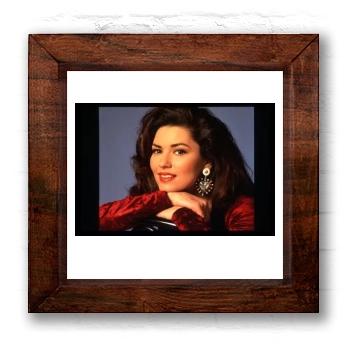 Shania Twain 6x6