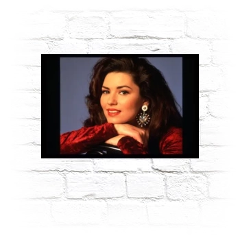 Shania Twain Metal Wall Art