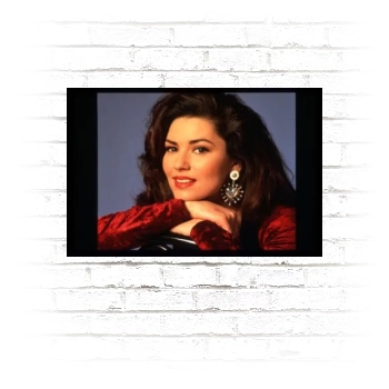 Shania Twain Poster