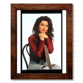 Shania Twain 14x17