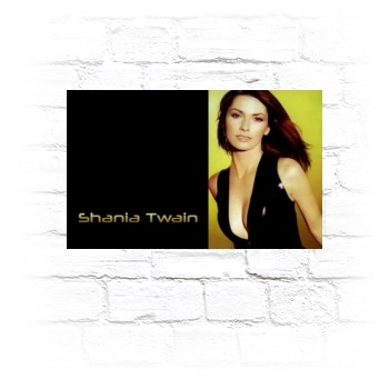 Shania Twain Metal Wall Art