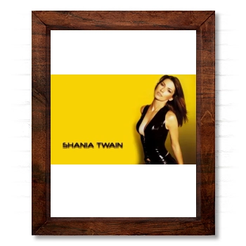 Shania Twain 14x17