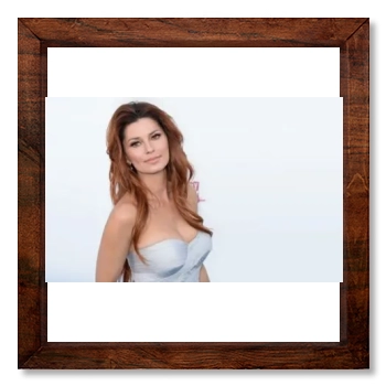 Shania Twain 12x12