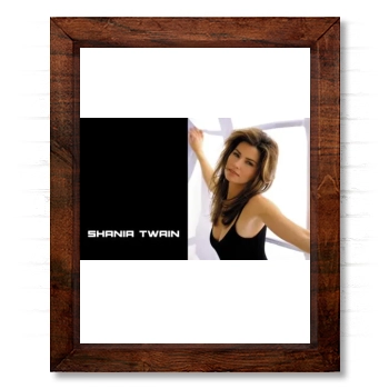 Shania Twain 14x17