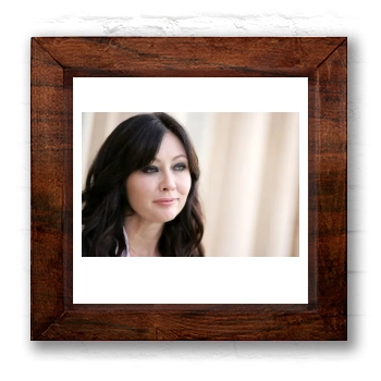 Shannen Doherty 6x6