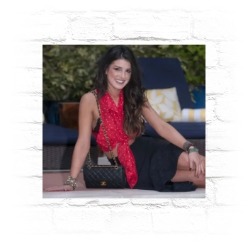 Shenae Grimes Metal Wall Art