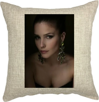 Sophia Bush Pillow