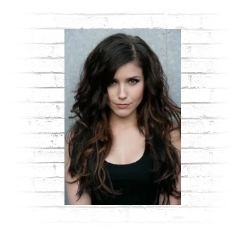 Sophia Bush Poster