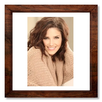 Sophia Bush 12x12