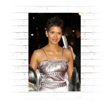 Halle Berry Poster