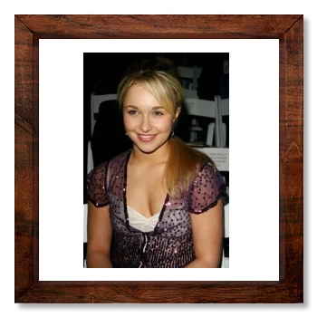 Hayden Panettiere 12x12