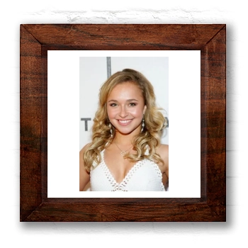 Hayden Panettiere 6x6