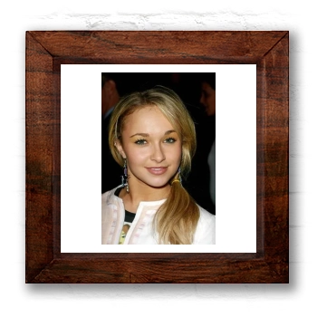 Hayden Panettiere 6x6