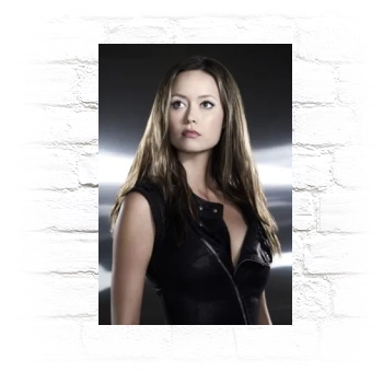 Summer Glau Metal Wall Art