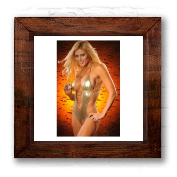 Torrie Wilson 6x6