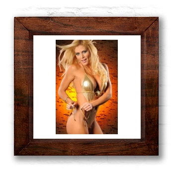 Torrie Wilson 6x6