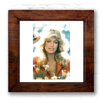 Farrah Fawcett 6x6