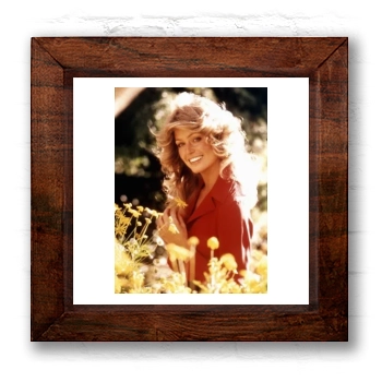 Farrah Fawcett 6x6