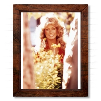 Farrah Fawcett 14x17