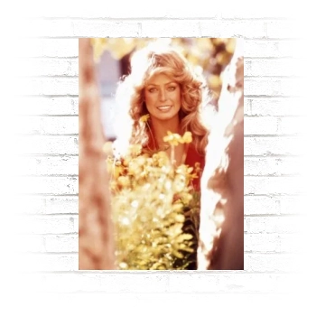 Farrah Fawcett Poster