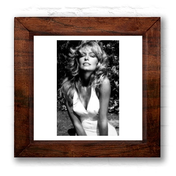 Farrah Fawcett 6x6