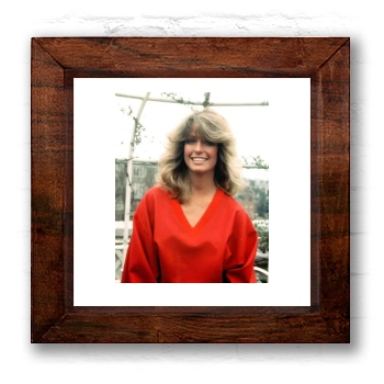 Farrah Fawcett 6x6