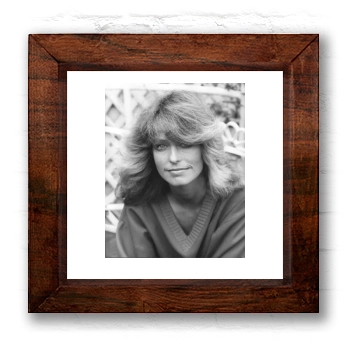 Farrah Fawcett 6x6