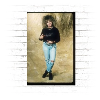 Tina Turner Poster