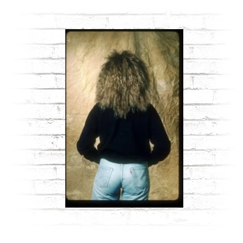 Tina Turner Poster